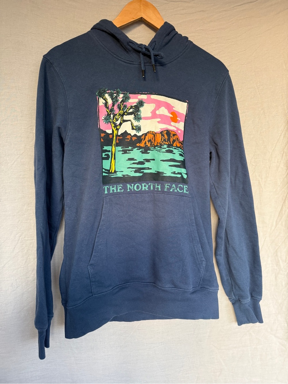 The North Face Graphic Injection Hoodie in shady blue